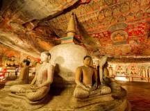 Buddha statues in Dambulla Caves, Sri Lanka