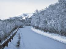 Bosnia & Herzegovina