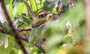 Your Flights, Your Choice