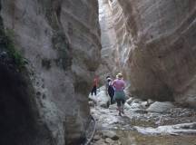 The Republic of Cyprus