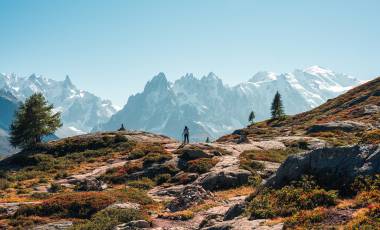 Your Flights, Your Choice