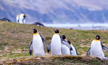 Holiday Destinations