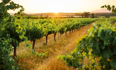 Holiday Destinations