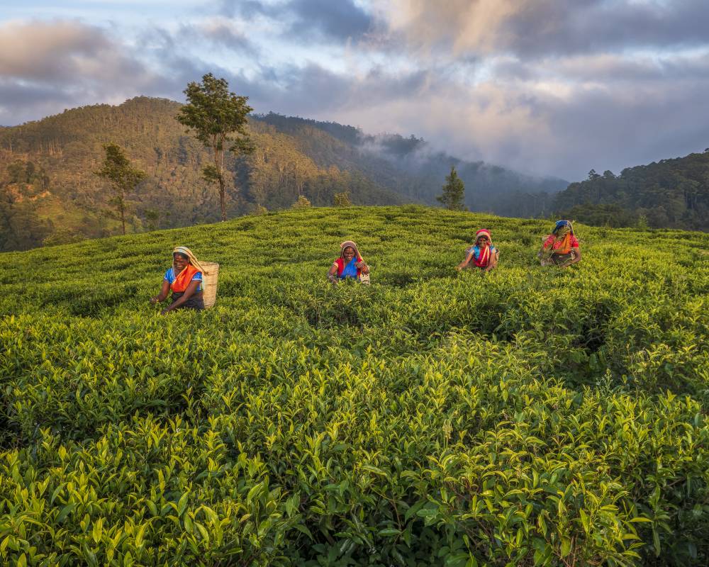 Where Adventure Holidays Begin