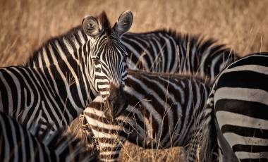 Where Adventure Holidays Begin